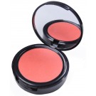Powder Blush 2