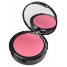 Powder Blush 3