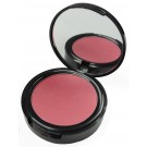 Powder Blush 4